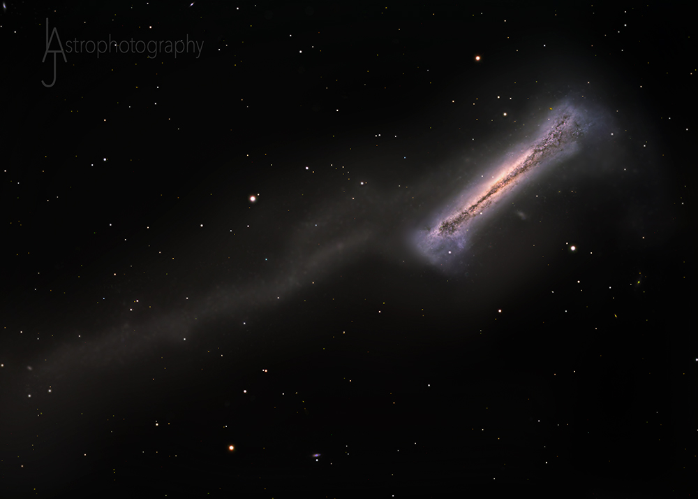 NGC 3628 - Tidal Echoes in Leo