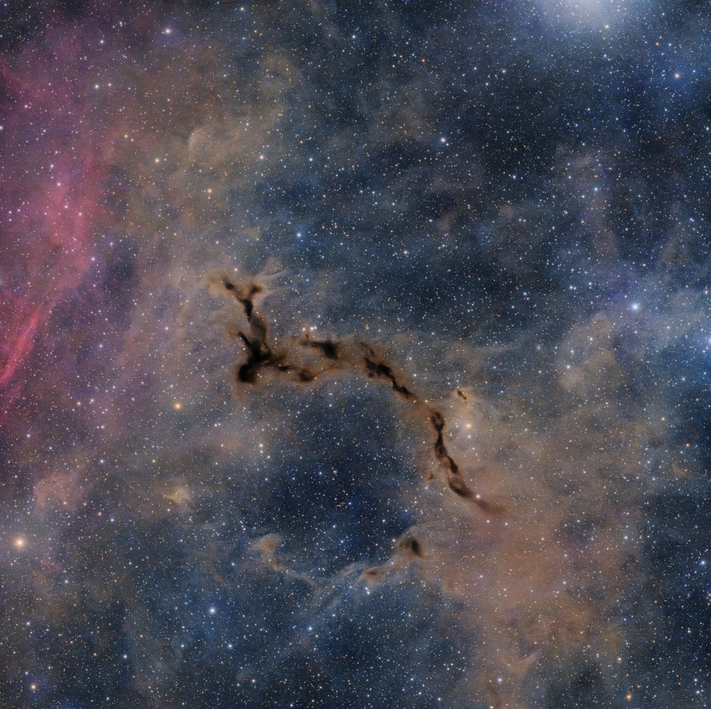 The Interstellar Seahorse